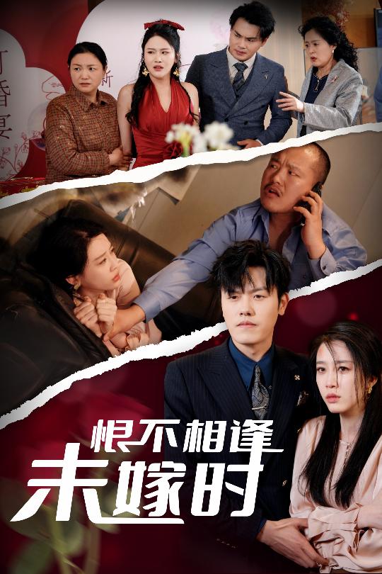 恨不相逢未嫁时封面图