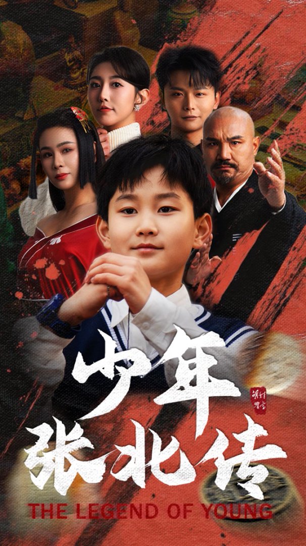 少年张北传封面图