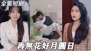 再无花好月圆日封面图