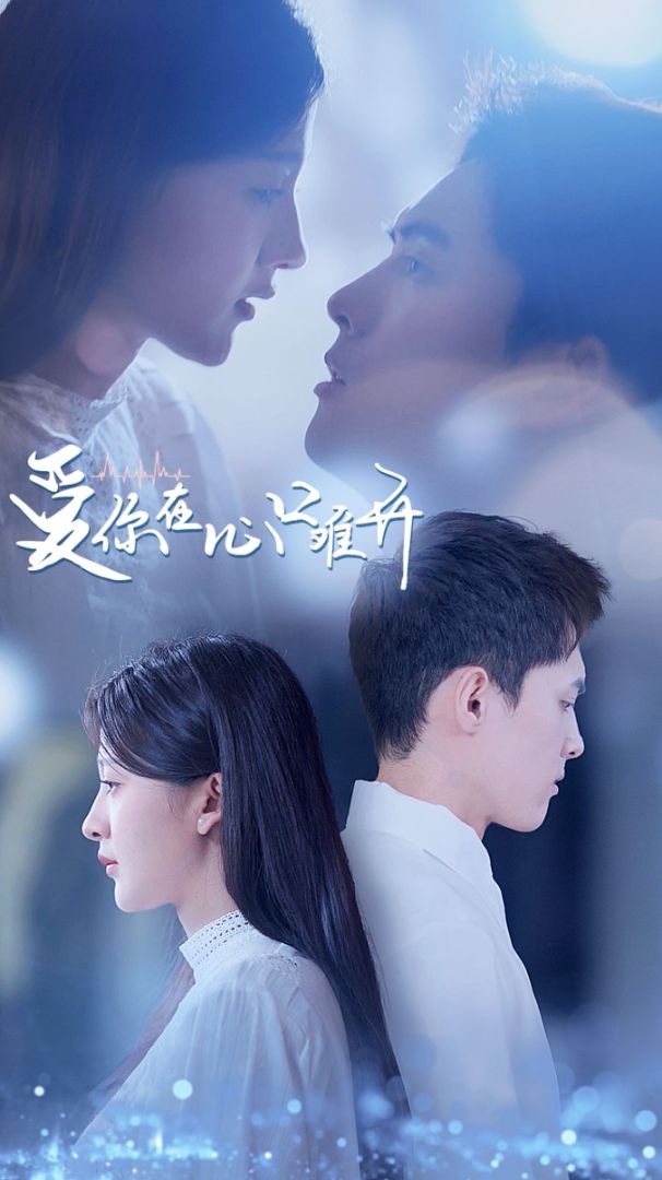 爱你在心口难开封面图