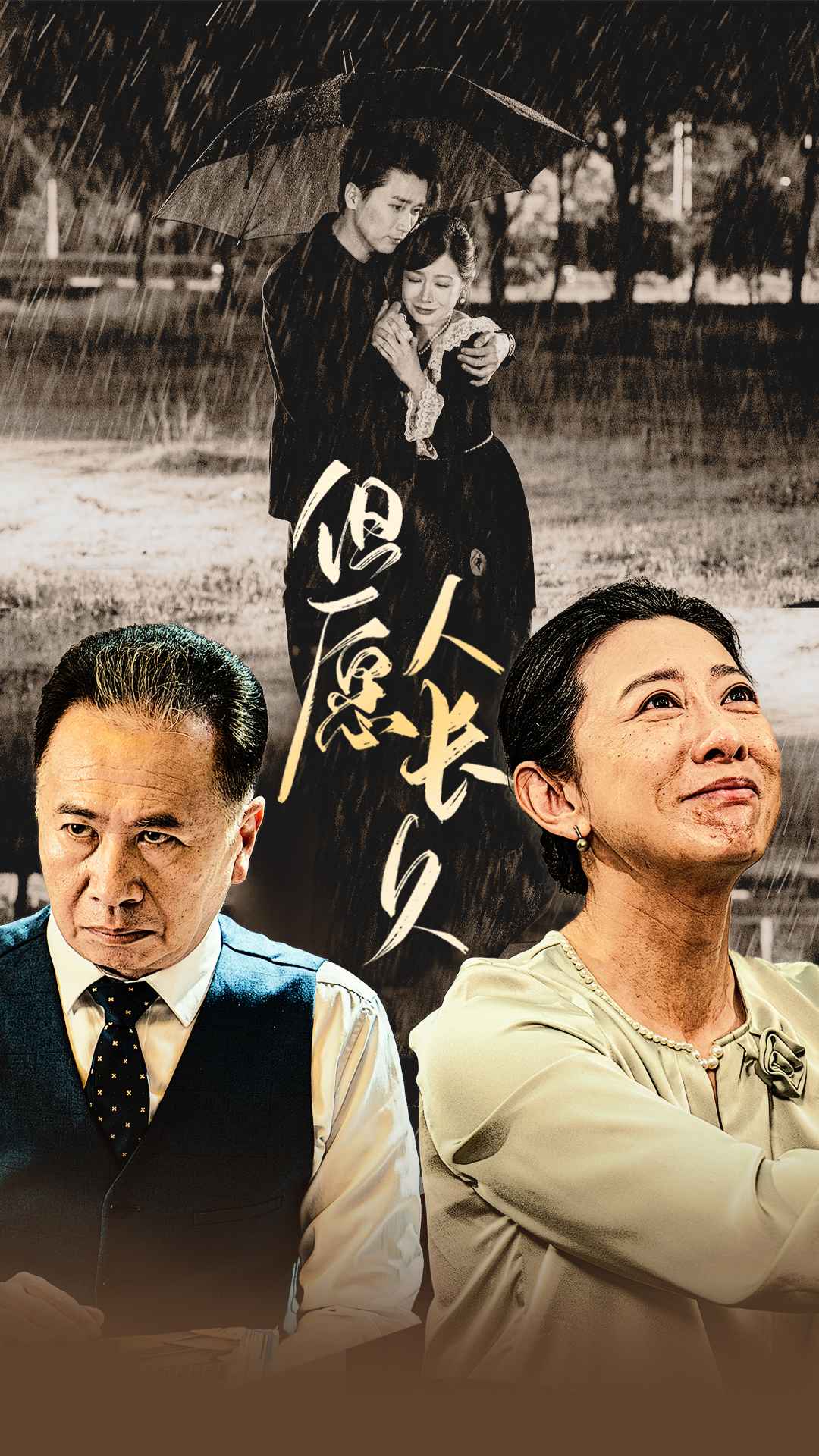 但愿人长久封面图