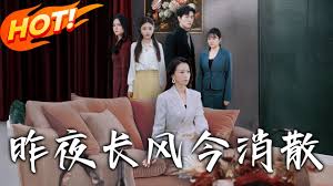 昨夜长风今消散封面图