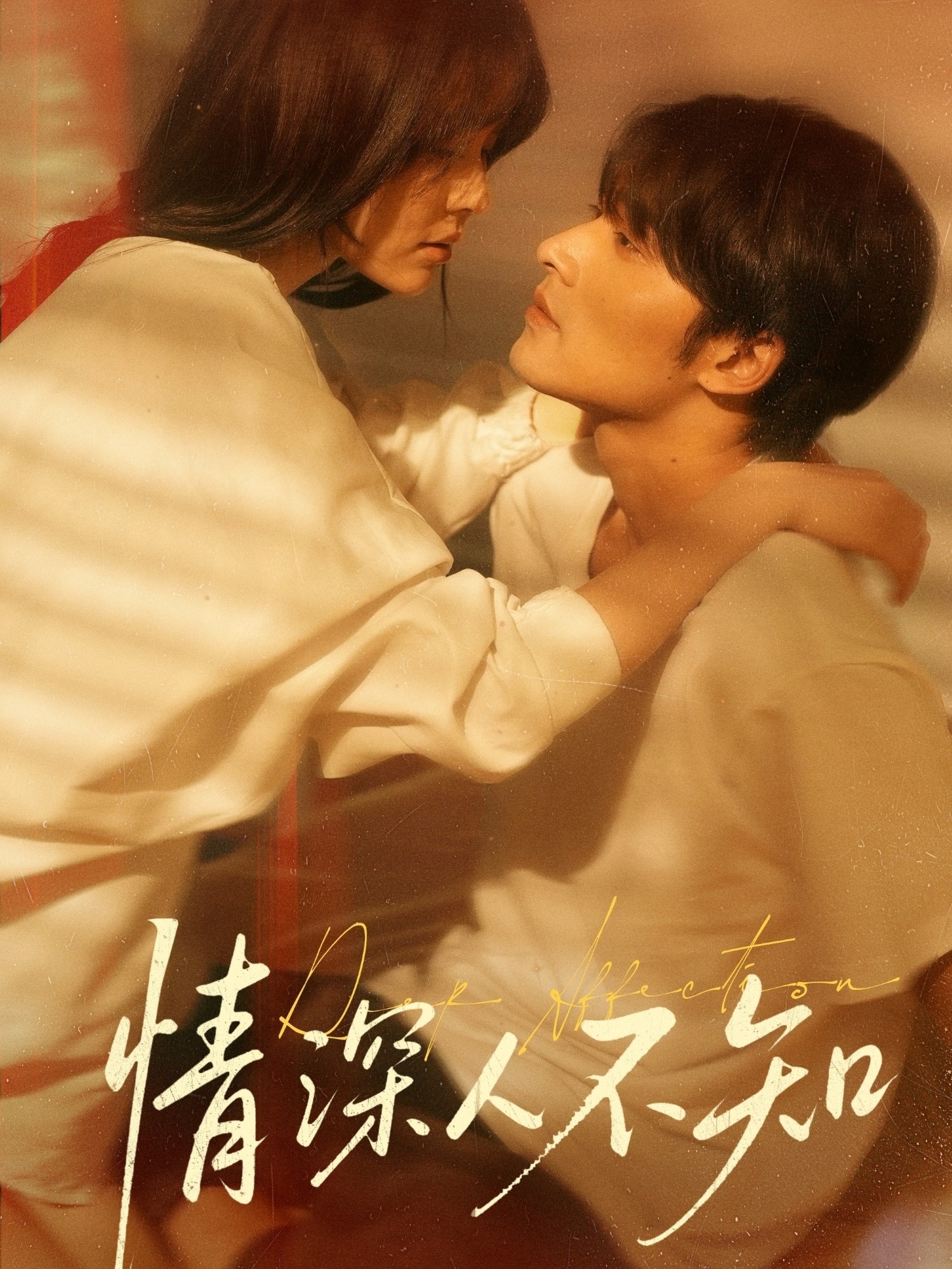 情深人不知封面图