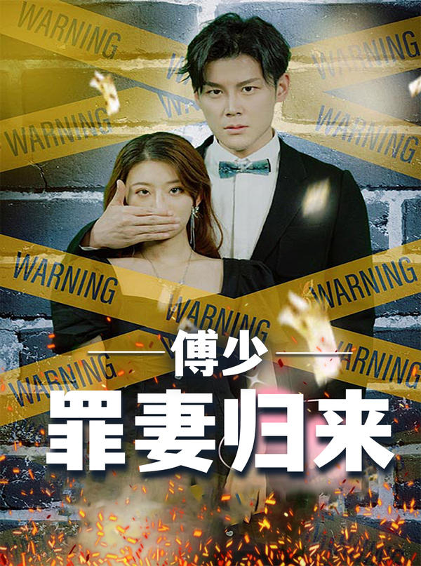 傅少罪妻归来封面图