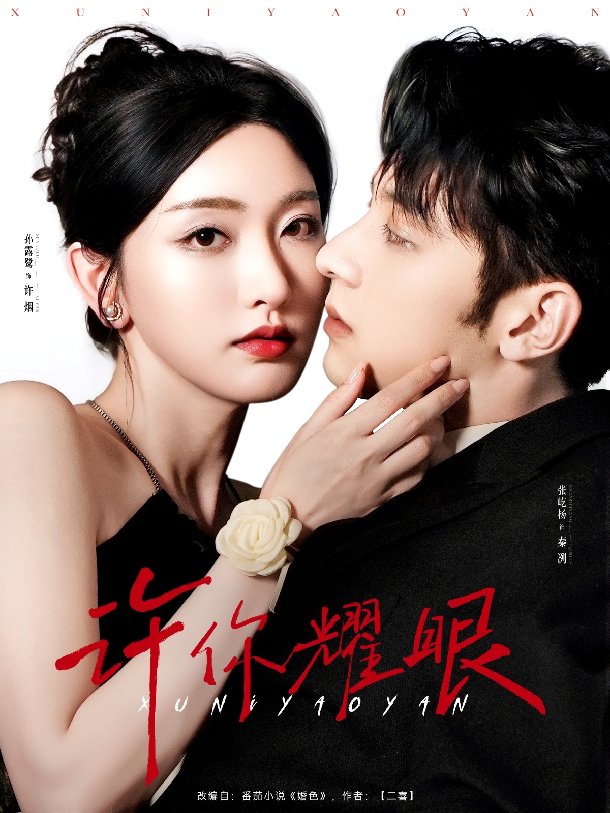 许你耀眼封面图