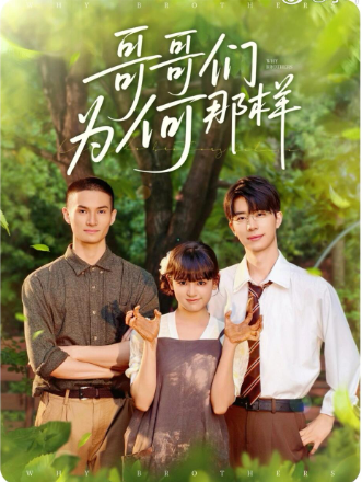 哥哥们为何对我那样封面图