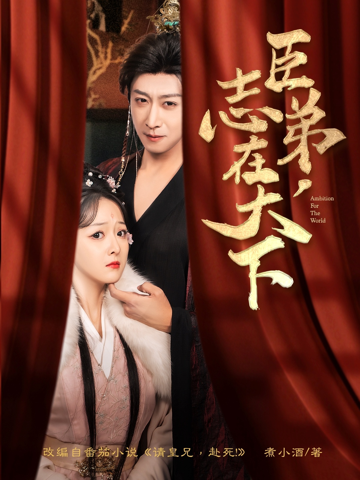 臣弟，志在天下封面图