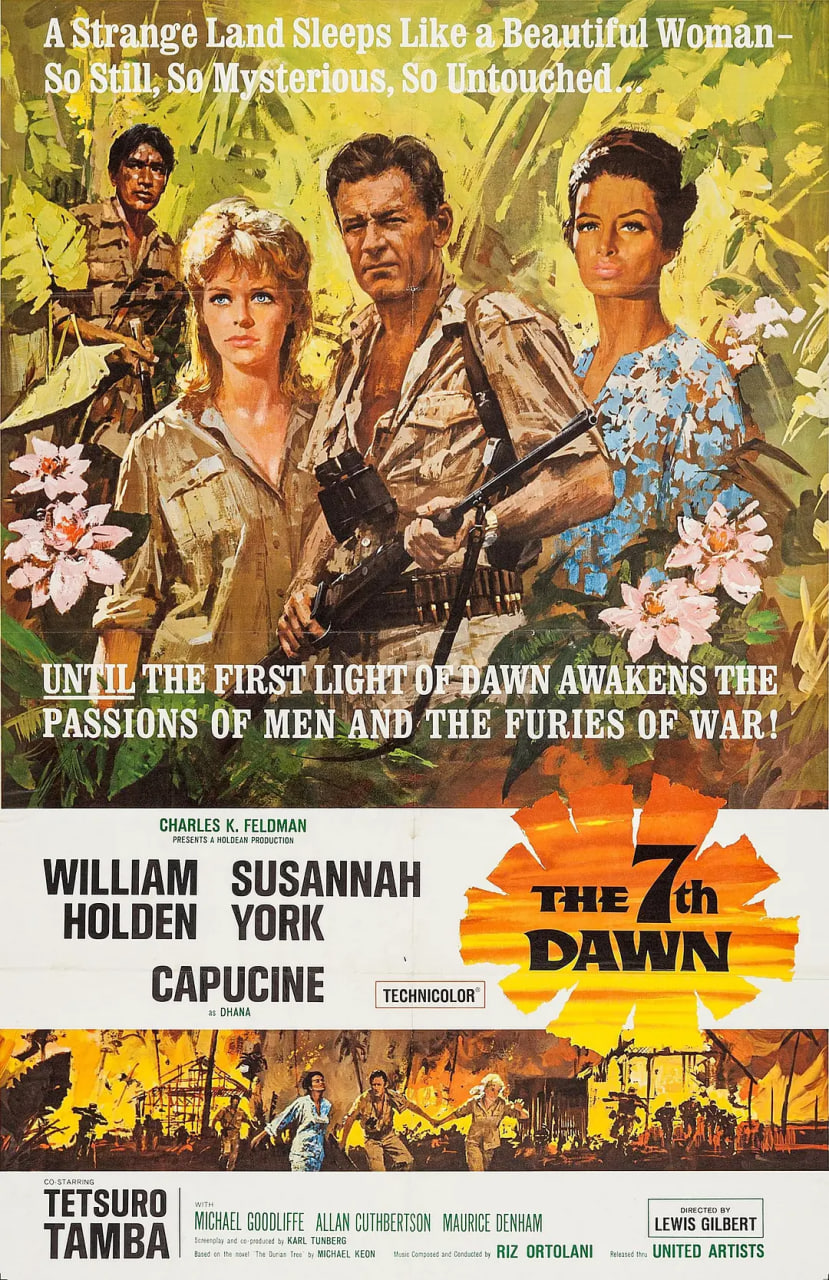 漫天风雨待黎明封面图