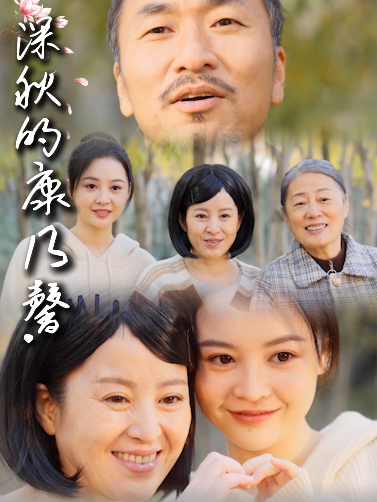 深秋的康乃馨封面图