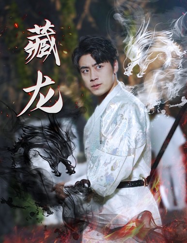 藏龙封面图