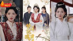 梦回琉璃月封面图