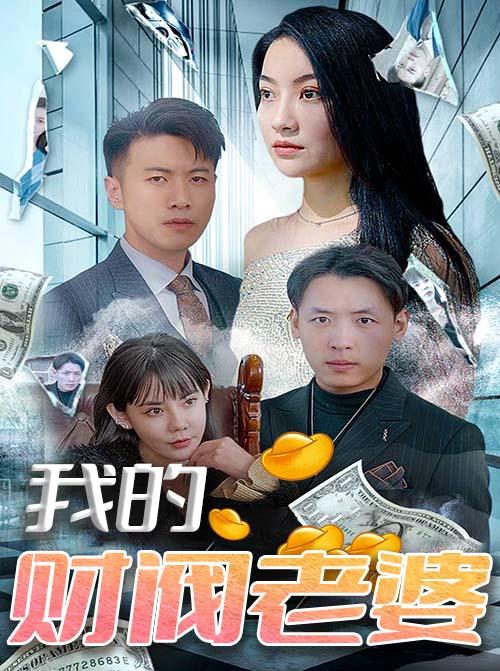 我的财阀老婆封面图
