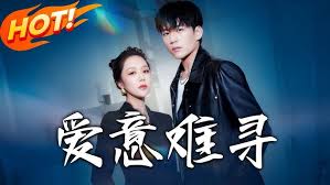 爱意难寻封面图