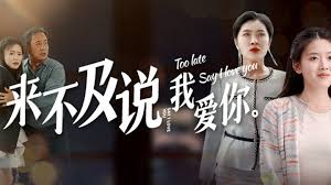 来不及说我爱你封面图