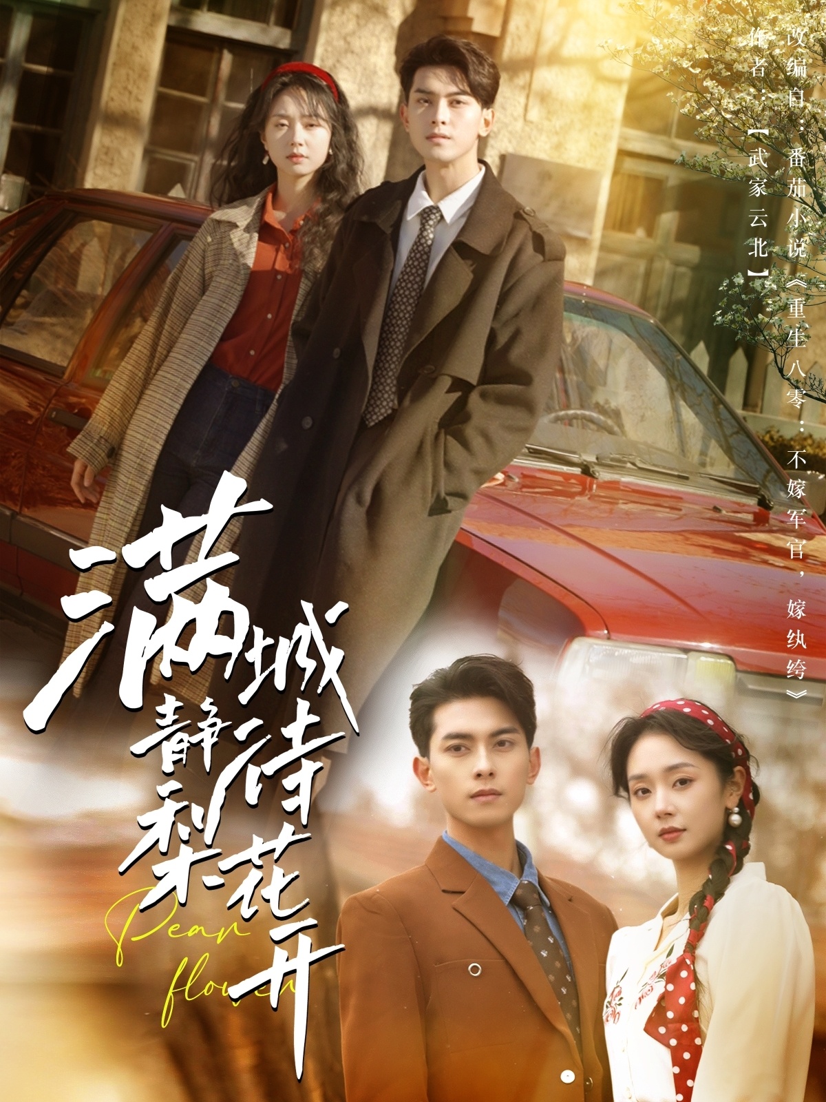 满城静待梨花开封面图