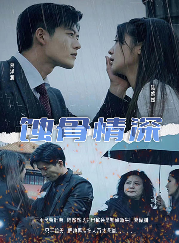 蚀骨情深封面图