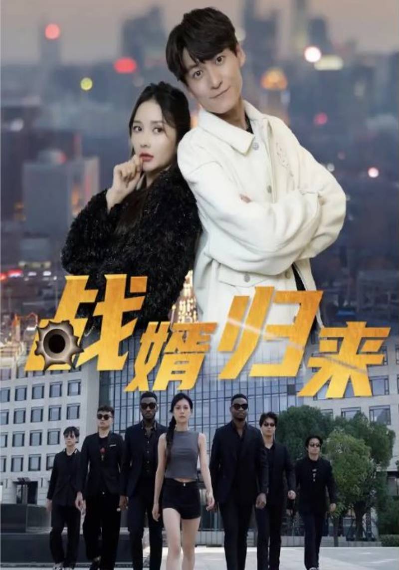 战婿归来封面图