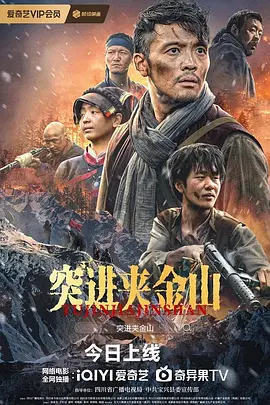 突进夹金山封面图