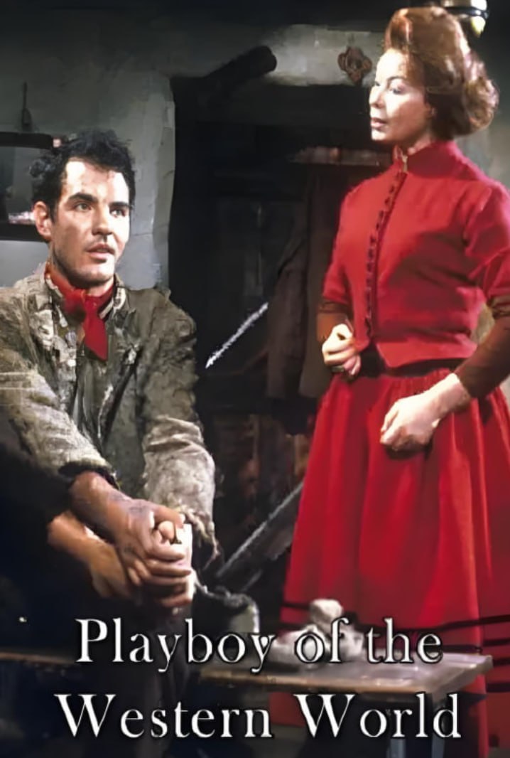 西部浪子封面图