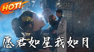 愿君如星我如月封面图