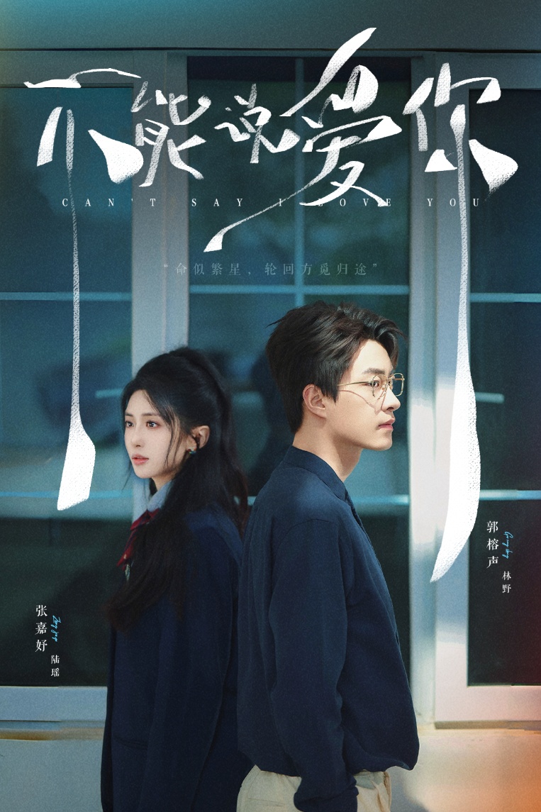 不能说爱你封面图