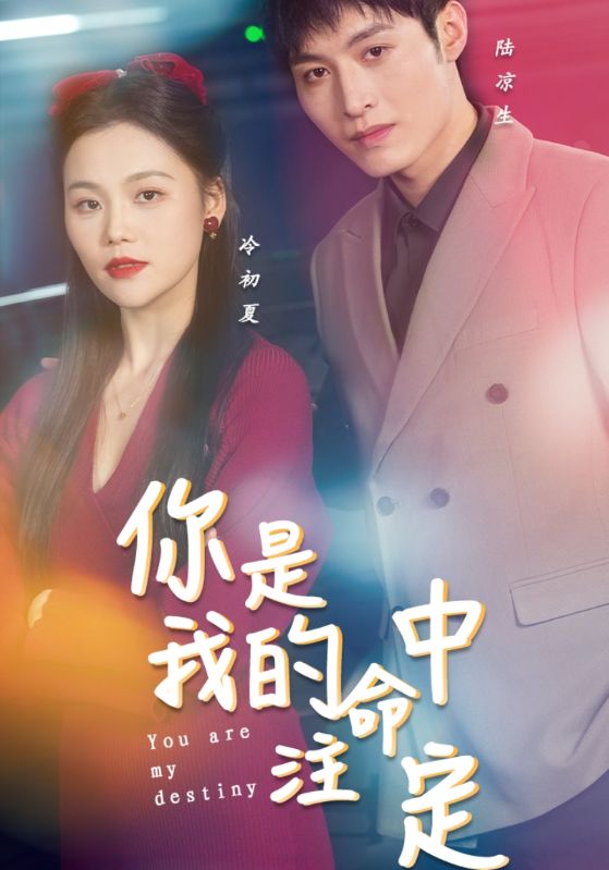 你是我的命中注定封面图