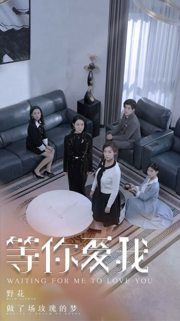 等你爱我封面图