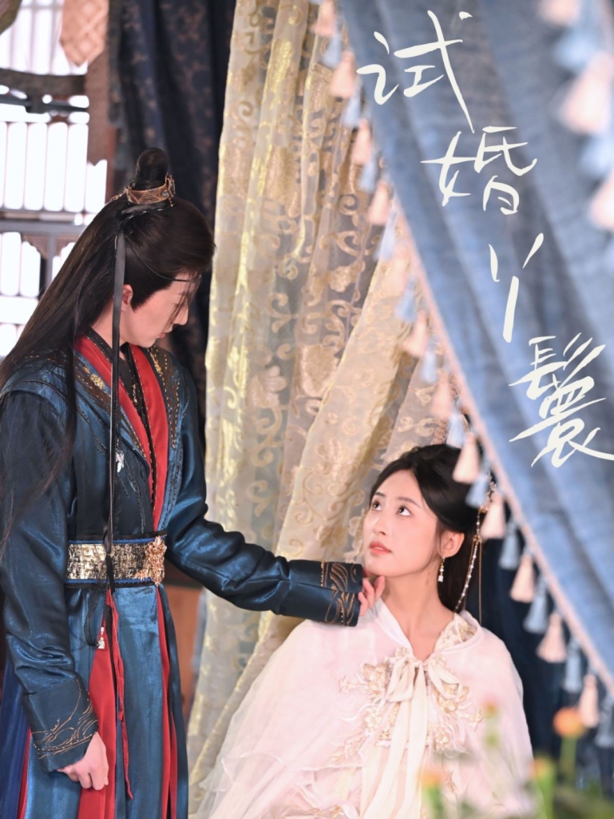 试婚丫鬟封面图