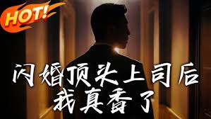 闪婚顶头上司后我真香了封面图