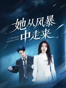 她从风暴中走来封面图
