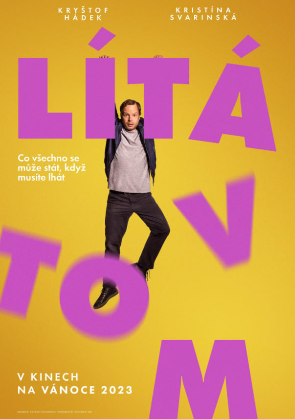 它飞进去封面图