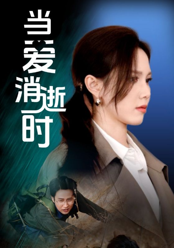 当爱消逝时封面图