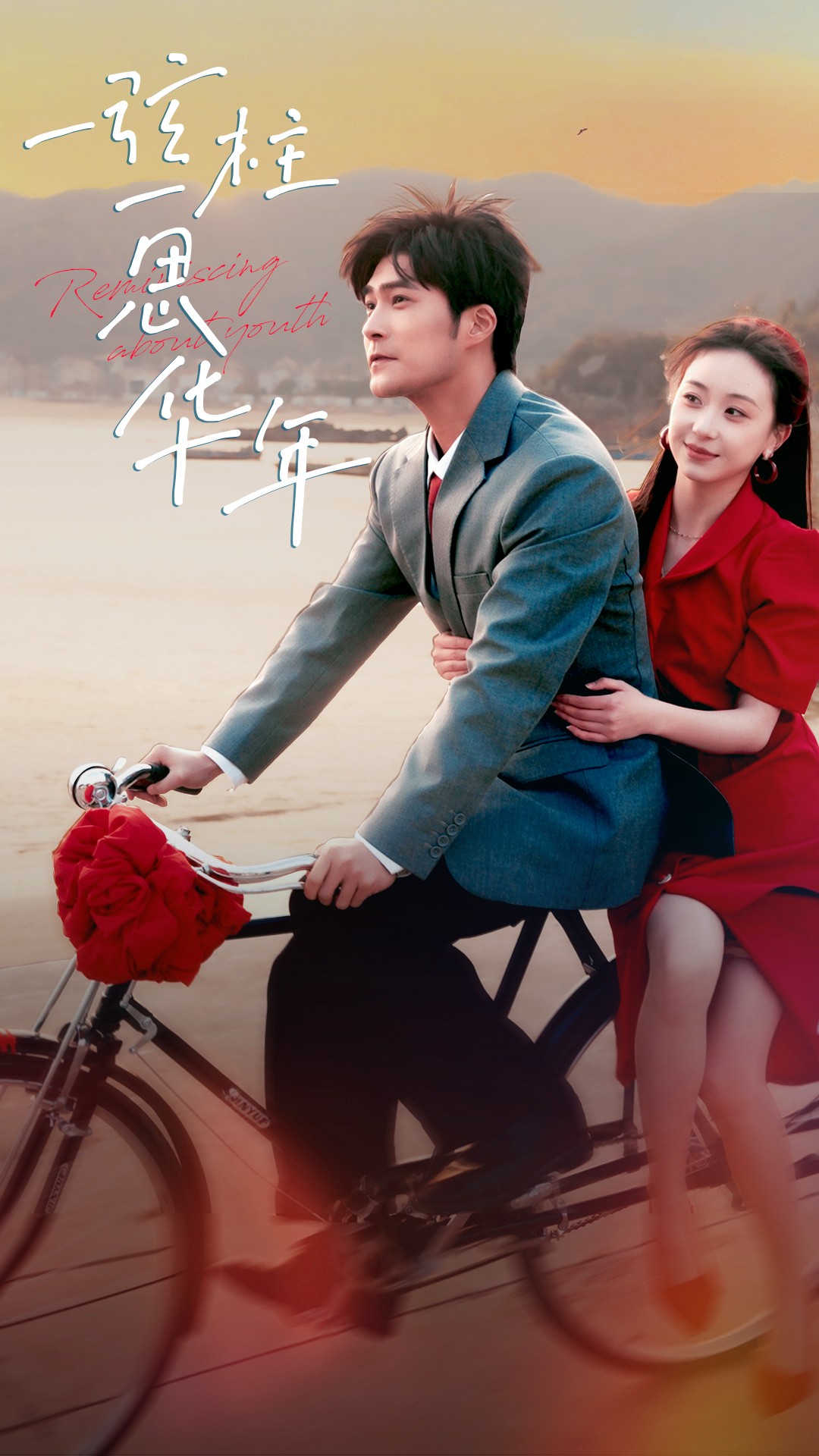 一弦一柱思华年封面图