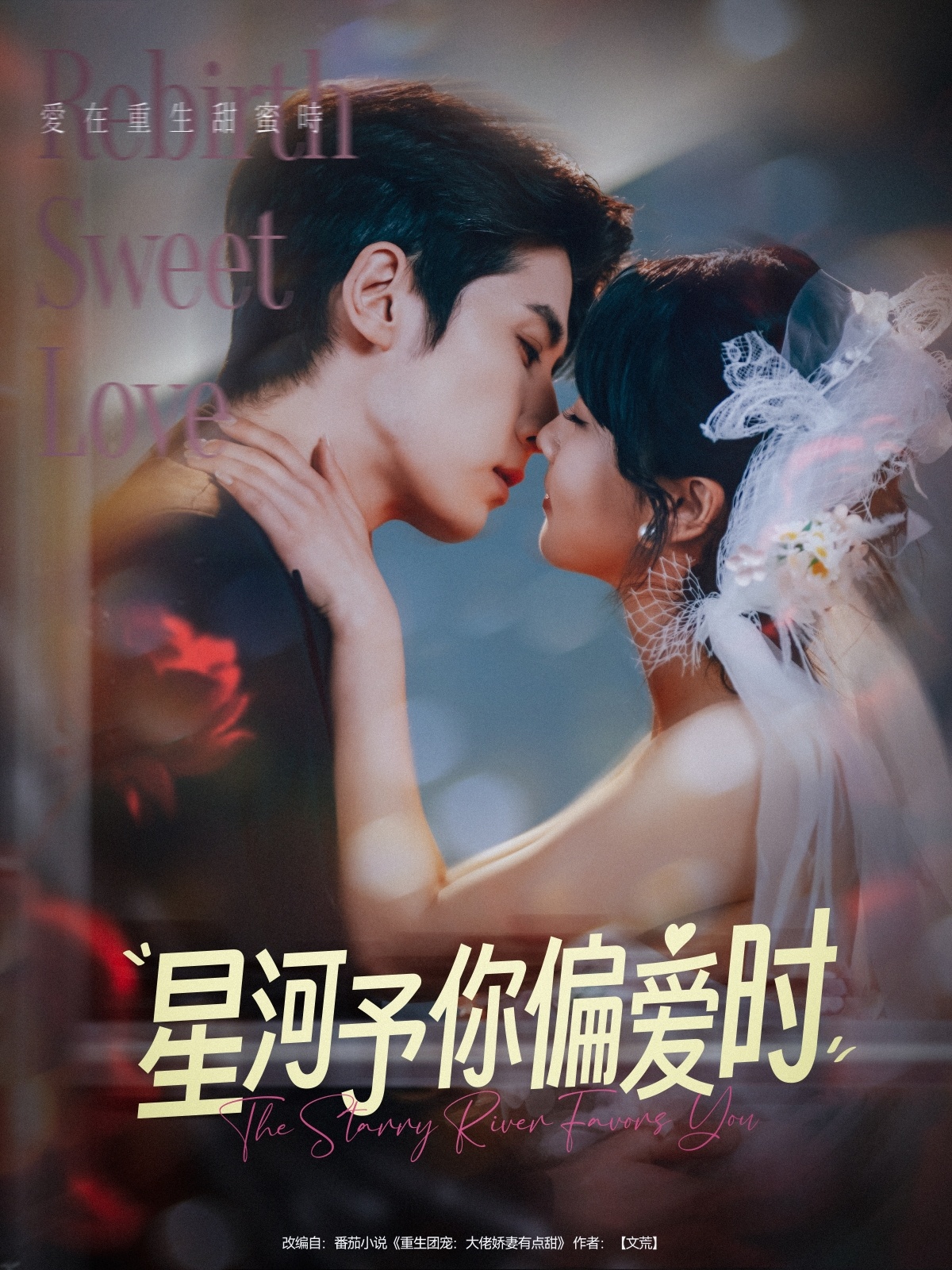 星河予你偏爱时封面图