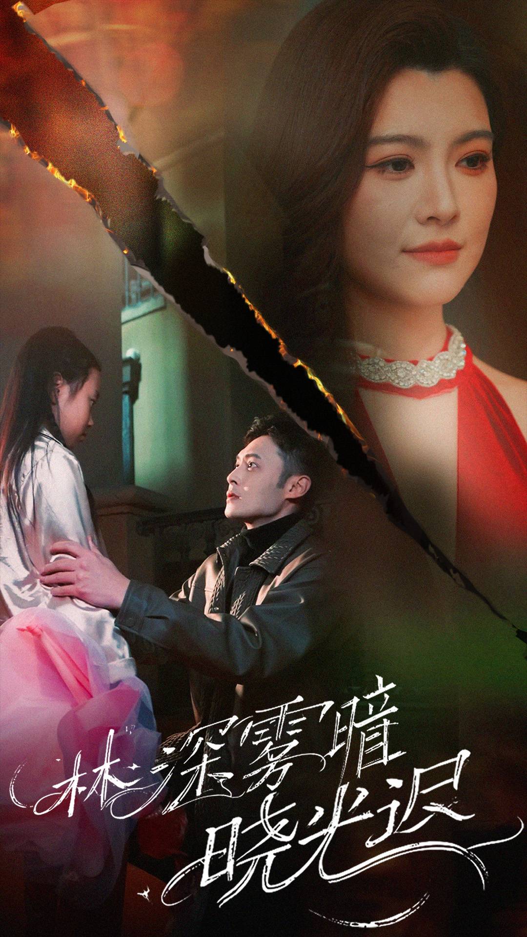 林深雾暗晓光迟封面图