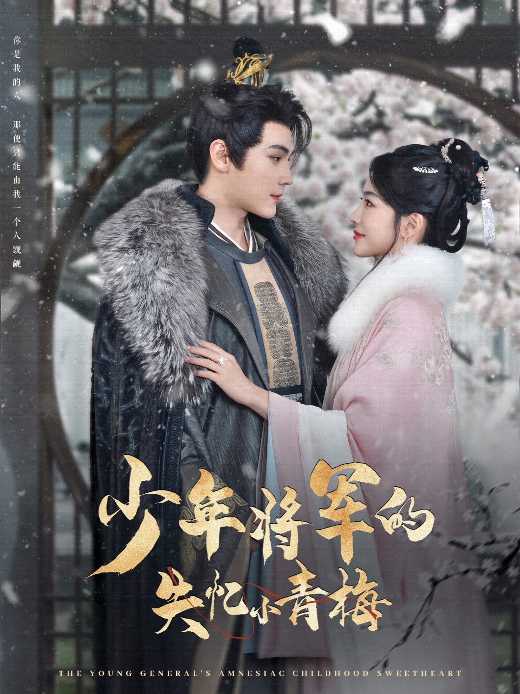 少年将军的失忆小青梅封面图
