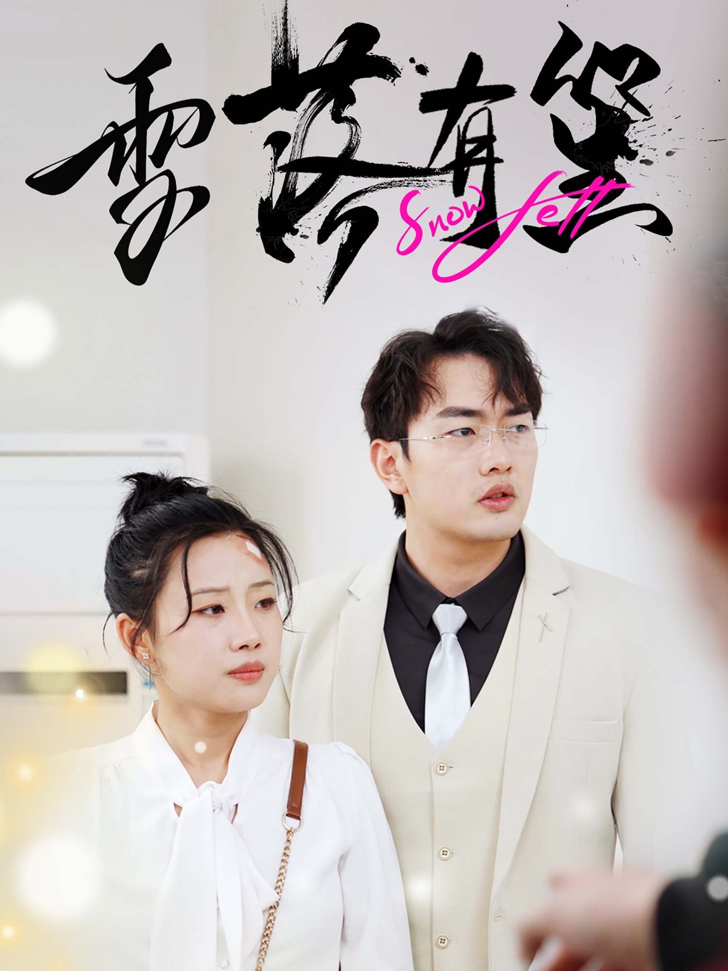 雪落有笙封面图