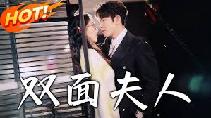 双面夫人封面图