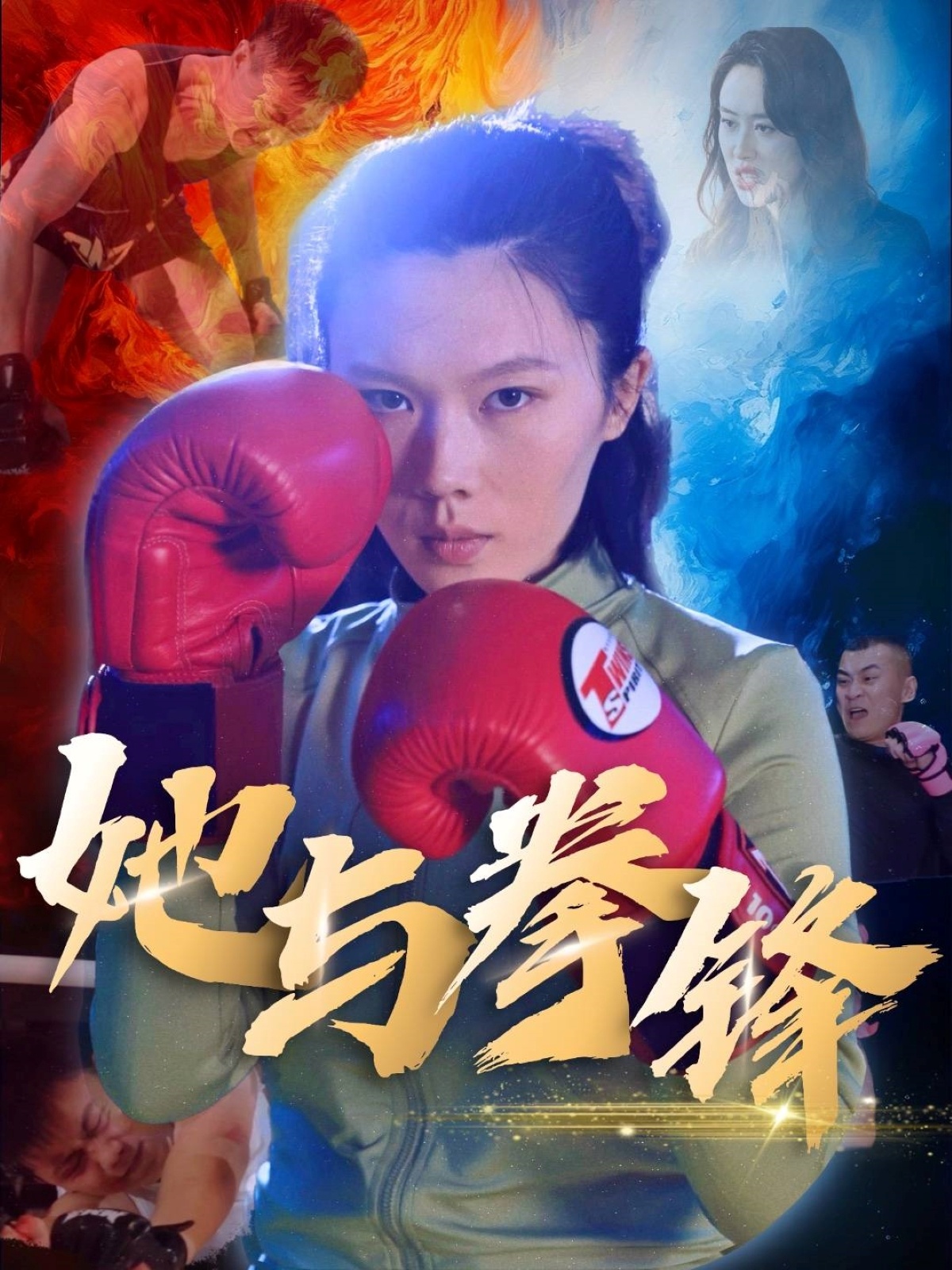 她与拳锋封面图