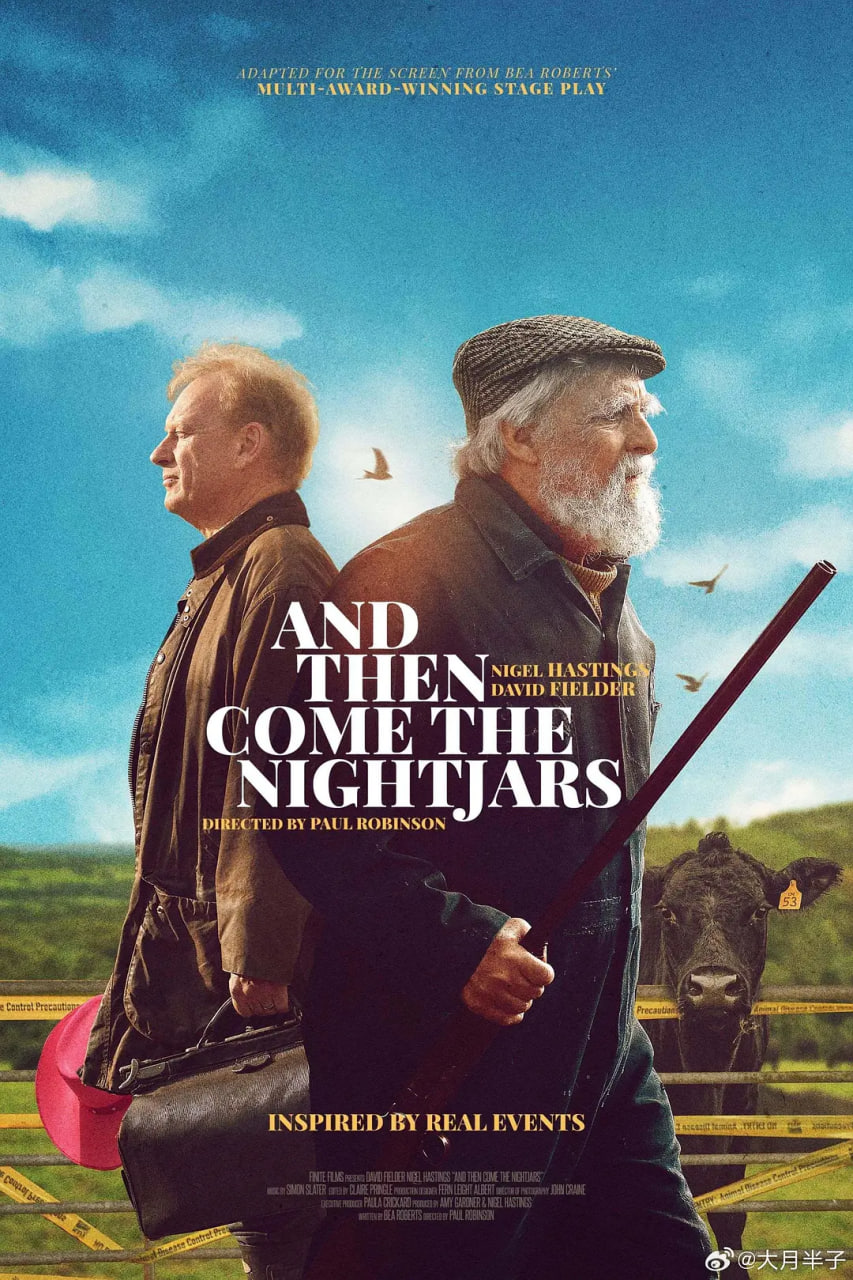 然后夜鹰来了封面图