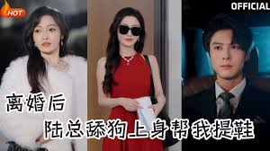 离婚后，陆总舔狗上身帮我提鞋封面图