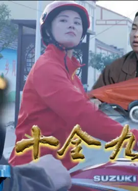 十全九美村封面图