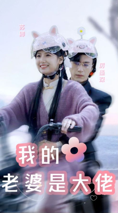 我的老婆是大佬封面图