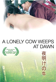 哭泣的牛封面图