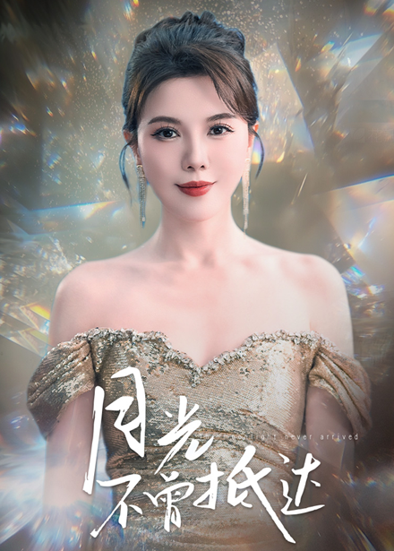 月光不曾抵达封面图