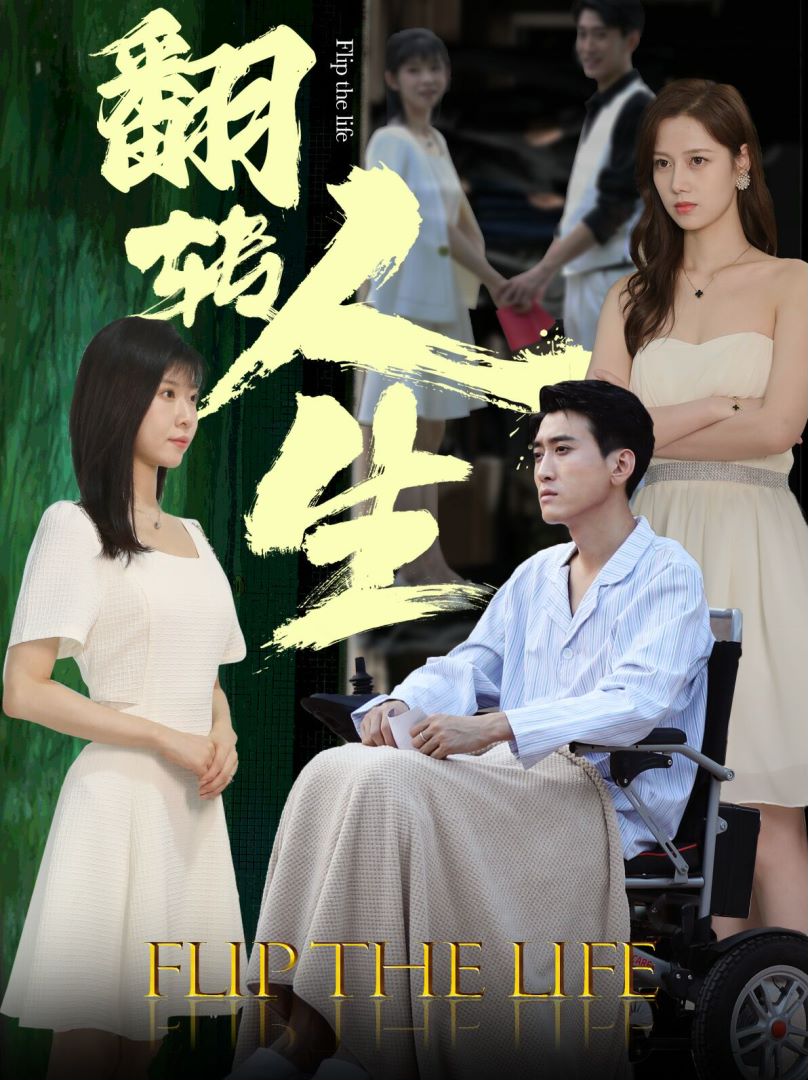 翻转人生封面图