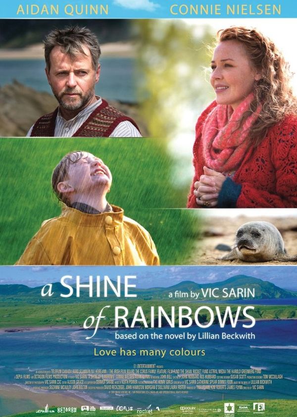 彩虹照耀封面图