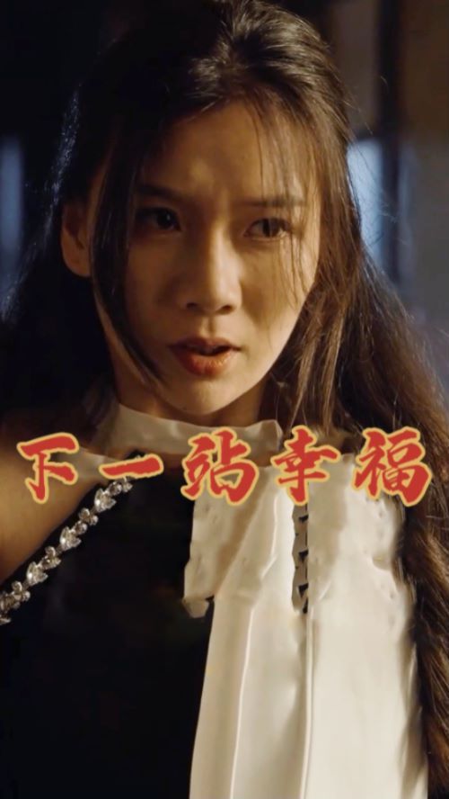 下一站幸福封面图