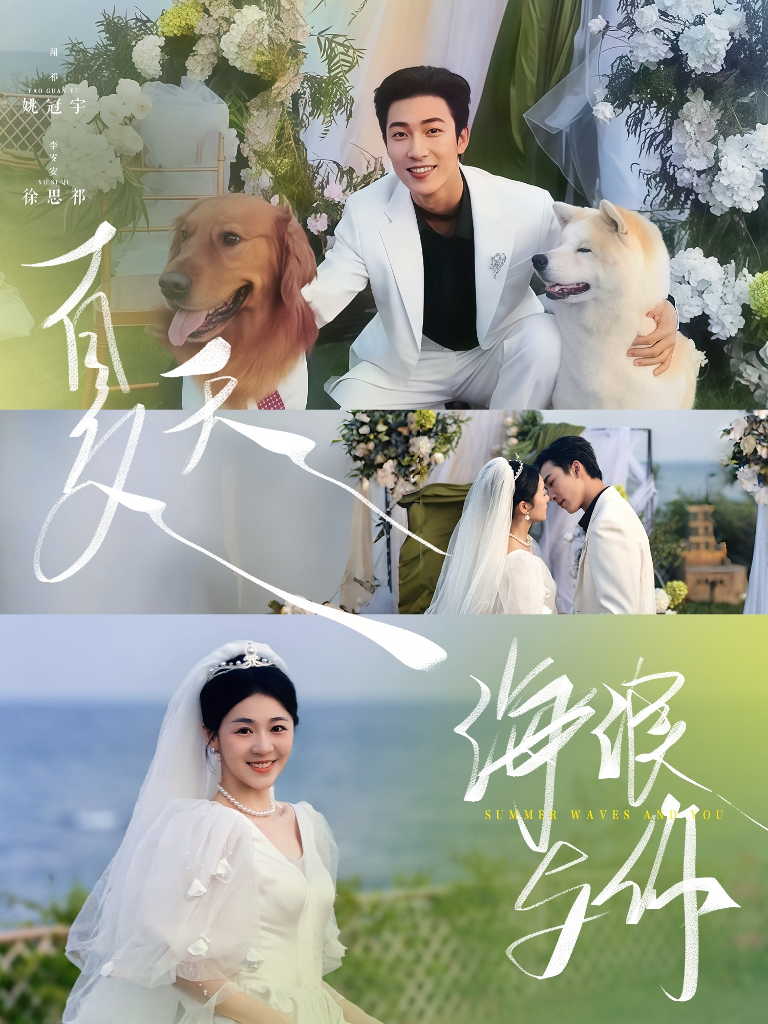 夏天，海浪与你封面图