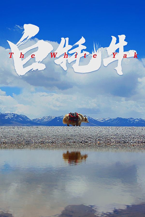 白牦牛封面图